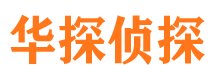 亭湖市侦探公司